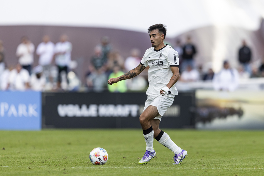 就相中了这 就相中了这