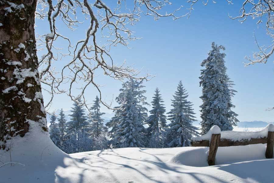 遵义市人民, src, 局青少年体